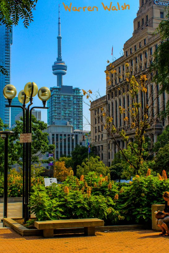 Downtown Toronto in early fall!:)